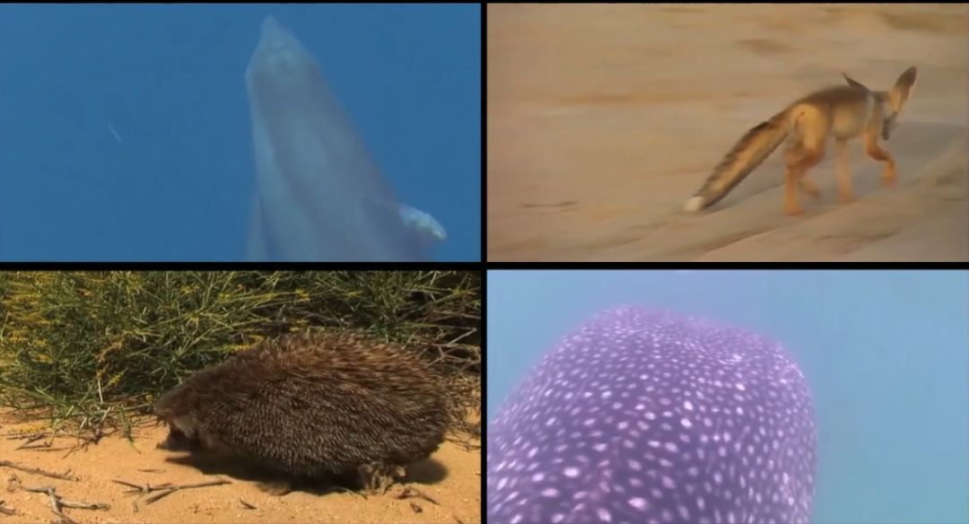 尊龙凯时【最新官网】人生就是搏!