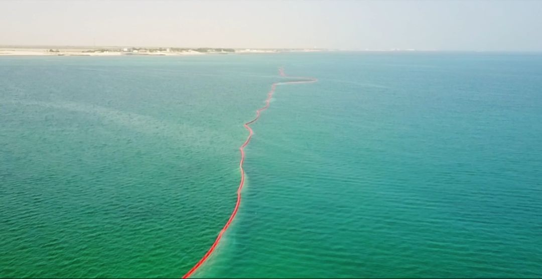 尊龙凯时【最新官网】人生就是搏!