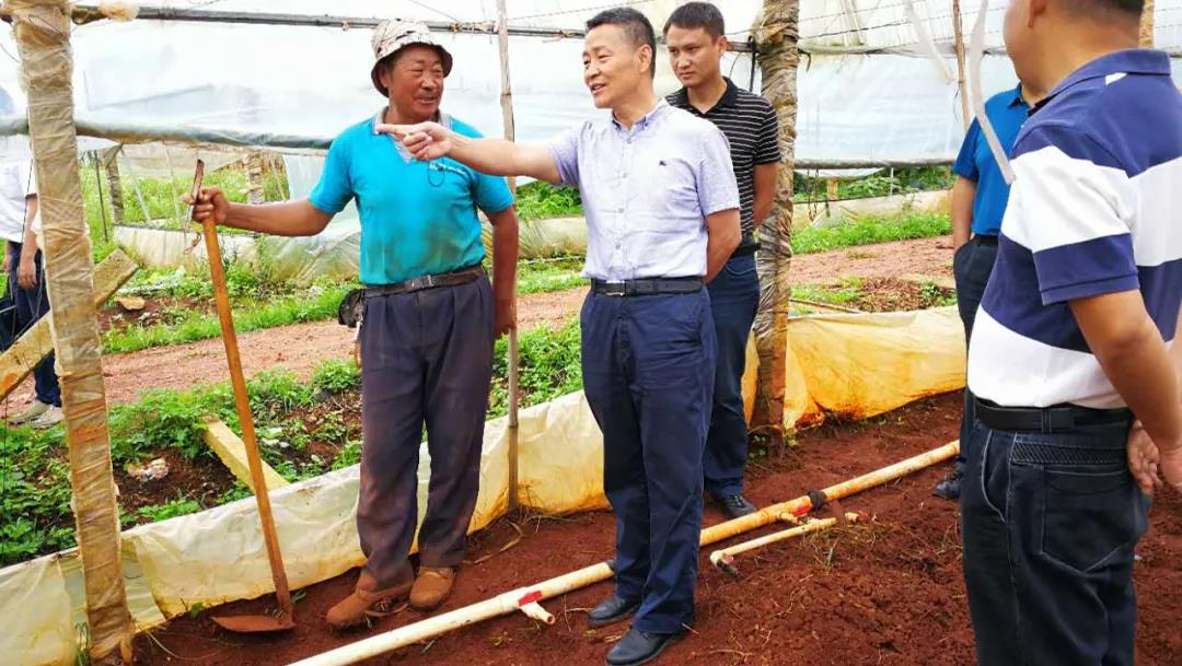 尊龙凯时【最新官网】人生就是搏!