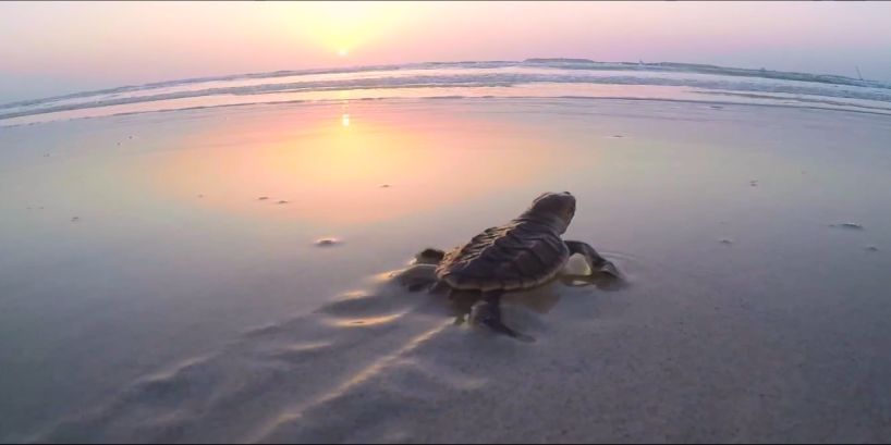 尊龙凯时【最新官网】人生就是搏!