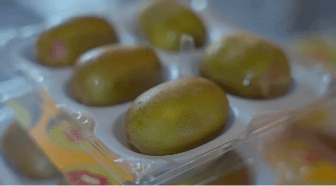 尊龙凯时【最新官网】人生就是搏!