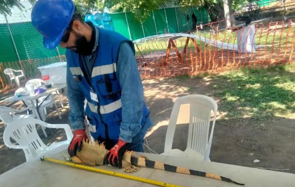 尊龙凯时【最新官网】人生就是搏!