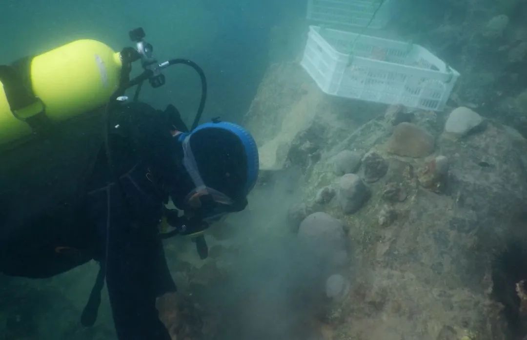 尊龙凯时【最新官网】人生就是搏!