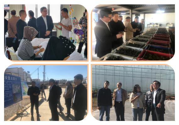 尊龙凯时【最新官网】人生就是搏!