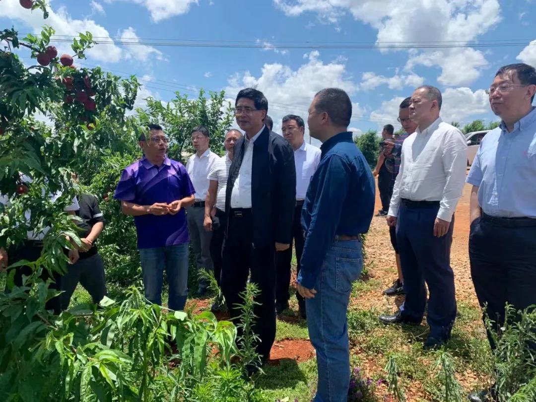 尊龙凯时【最新官网】人生就是搏!