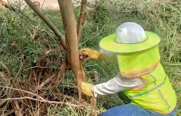 尊龙凯时【最新官网】人生就是搏!