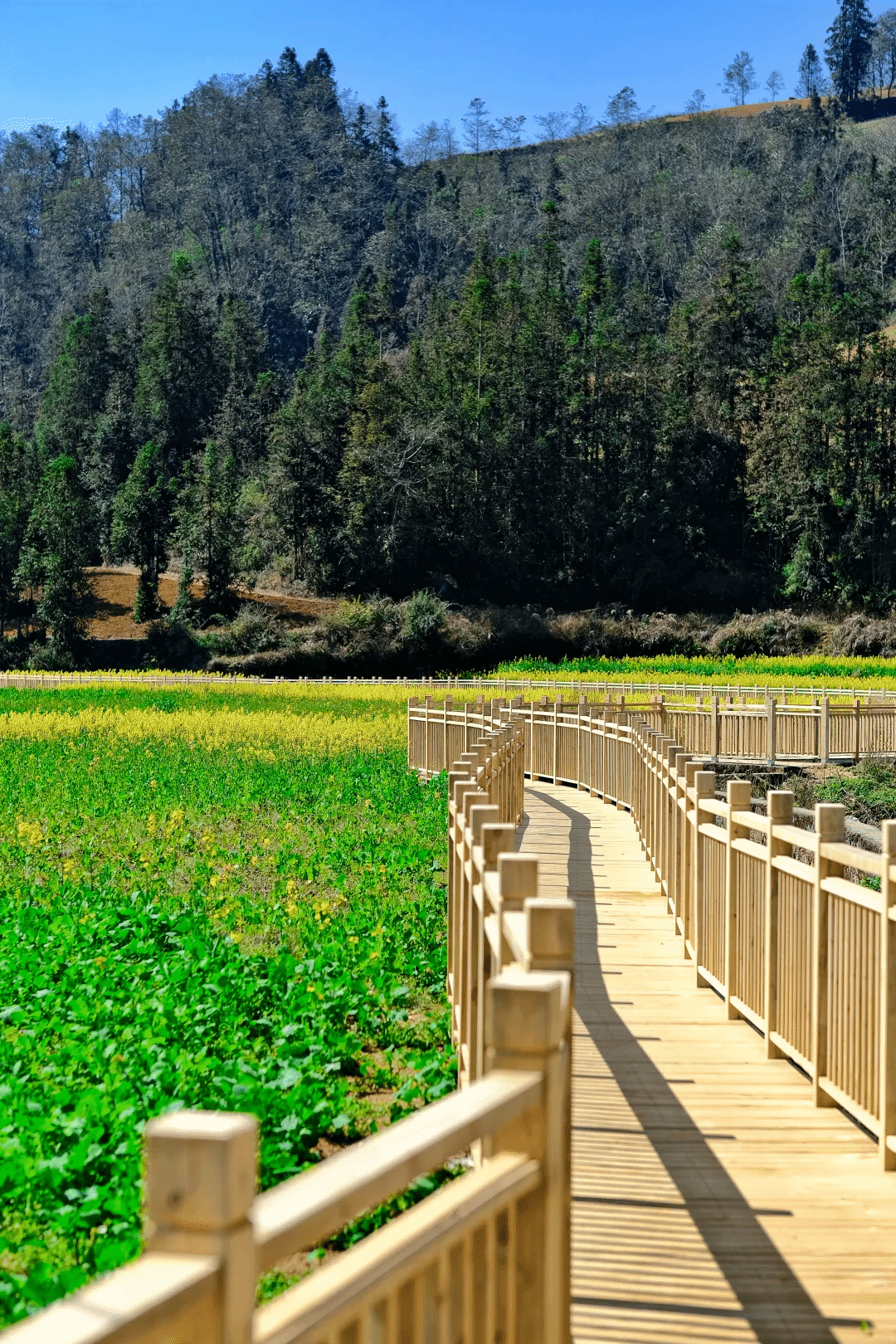 尊龙凯时【最新官网】人生就是搏!