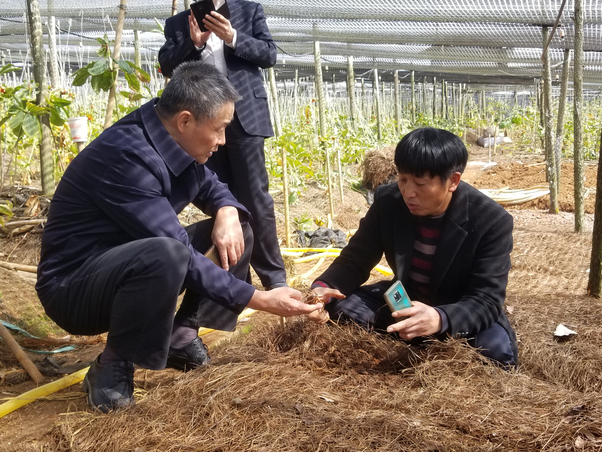 尊龙凯时【最新官网】人生就是搏!