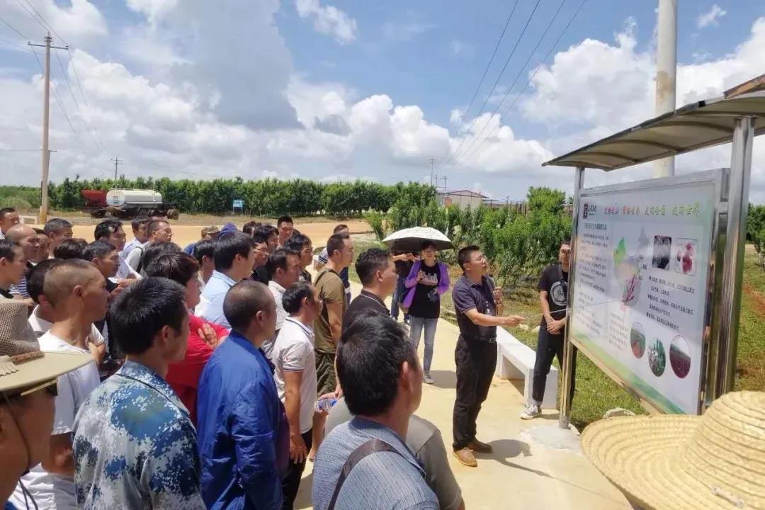 尊龙凯时【最新官网】人生就是搏!