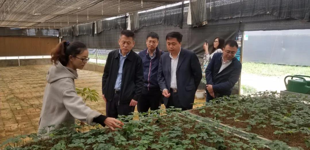 尊龙凯时【最新官网】人生就是搏!