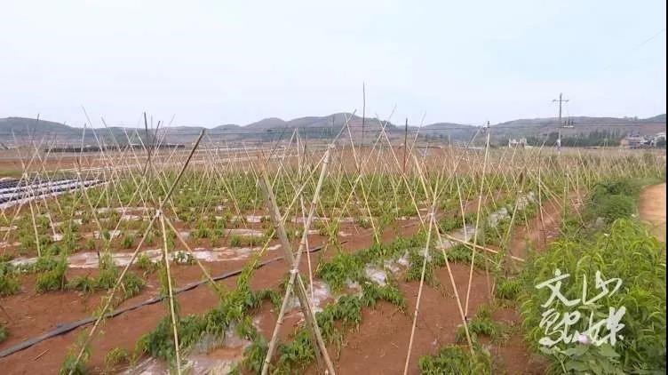 尊龙凯时【最新官网】人生就是搏!