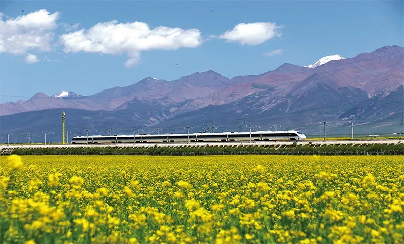 张玉卓、国资、央企、国资委、书记、主任、国企、企业刷新