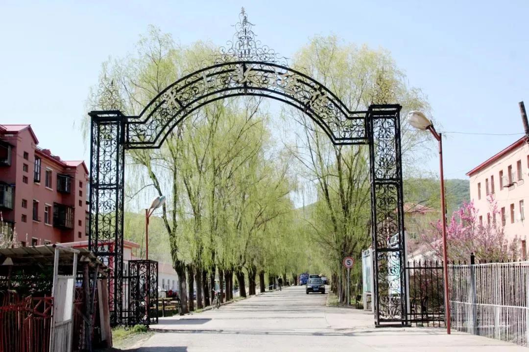 尊龙凯时【最新官网】人生就是搏!